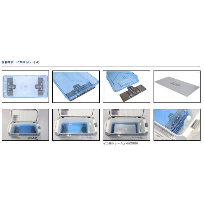 DAIWA（ダイワ） イカ様トレーAL S 3枚セット : 矢田屋ヤフー店 - 通販