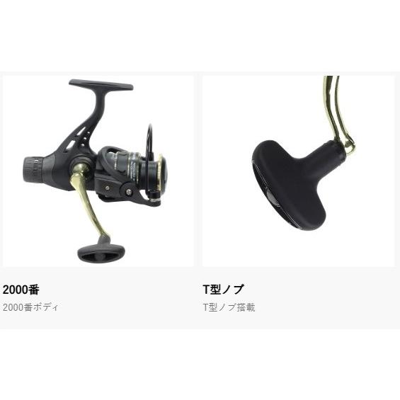 雷鳴金　月面　溶跡　入道Hiyodori 波浪Hiyodori ５号セット 雷雷門 No200 | 噴出花火 | eはなびやさん│圧倒的な品揃え！単品から