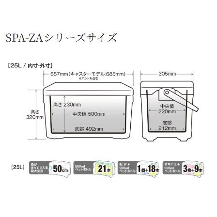 シマノ（SHIMANO） スペーザ ライト 250 NS-425Y Wインショアブルー