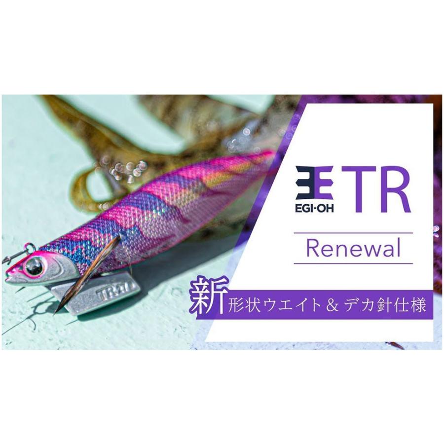 ヤマシタ エギ王 TR 3.5号 ティップラン 新色入荷｜yadaya