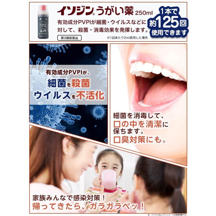 イソジン イソジンうがい薬 250ml【第3類医薬品】 : やどりぎD
