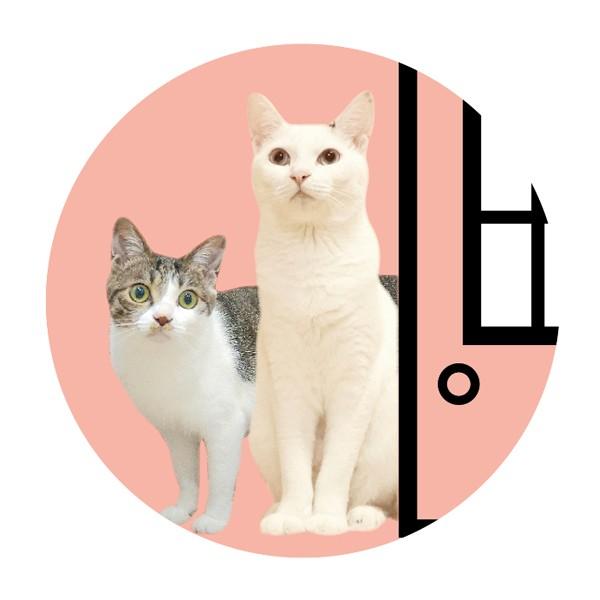 猫がいますステッカー(ピンク)☆脱走防止ステッカー 猫の為の玄関対策 車 玄関 シール 飛び出し防止 ドア 5500円以上送料無料 :110009:宿と 猫 通販 「猛猫注意」のステッカーです。元気の良すぎる猫ちゃんがいらっしゃるご家庭に!玄関やポストへ貼って注意喚起ができます★ 金銀メッキカラー 猛猫注意 カッティングステッカー 玄関 ポスト 表札 開閉注意 脱走防止 防犯 飛び出し注意 猫 ねこ 案内 表示 注意喚起 mcatc-02m