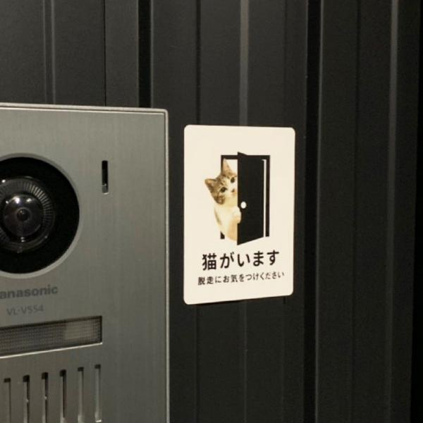 マグネット 猫がいます （ホワイト） 屋外 マグネット  脱走防止 玄関 飛び出し注意 車 ドア ねこ おしゃれ 防水加工 雑貨 | 宿と猫 | 01