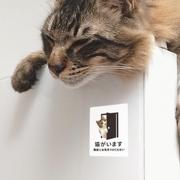 マグネット 猫がいます （ホワイト） 屋外 マグネット  脱走防止 玄関 飛び出し注意 車 ドア ねこ おしゃれ 防水加工 雑貨 | 宿と猫 | 02
