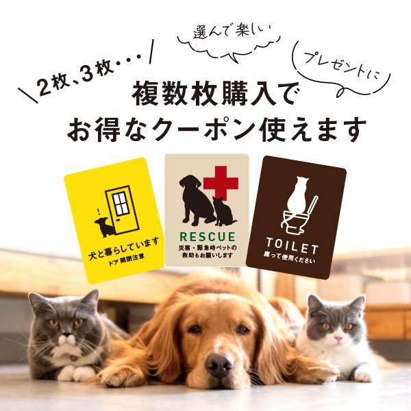 宿と猫 ビッグサイズ 猫がいます 猫ステッカー（イエロー） ステッカー