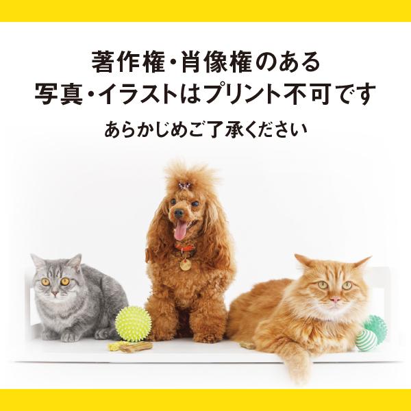 Tシャツ メンズ レディース 子ども うちの子 オーダー 半袖 おしゃれ 猫 犬 ポイント 名入れ | 宿と猫 | 15