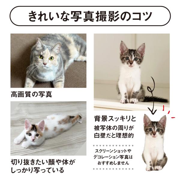 Tシャツ メンズ レディース 子ども うちの子 オーダー 半袖 おしゃれ 猫 犬 ポイント 名入れ | 宿と猫 | 03