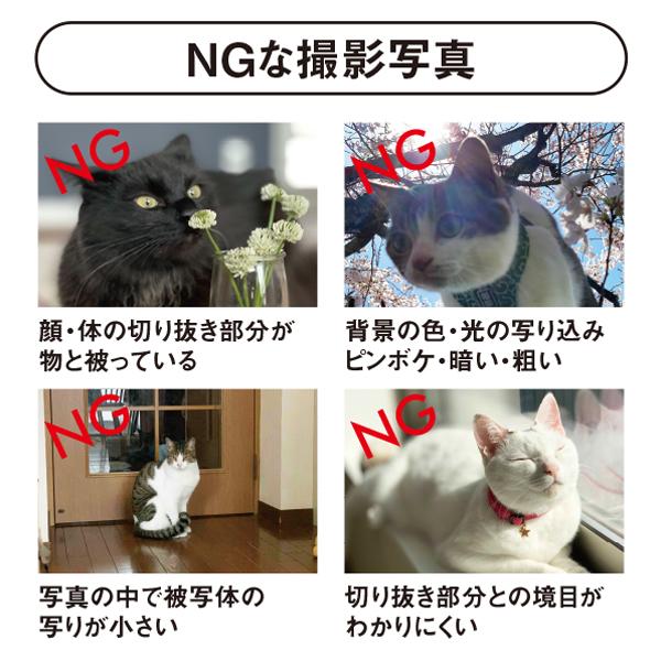 Tシャツ メンズ レディース 子ども うちの子 オーダー 半袖 おしゃれ 猫 犬 ポイント 名入れ | 宿と猫 | 04