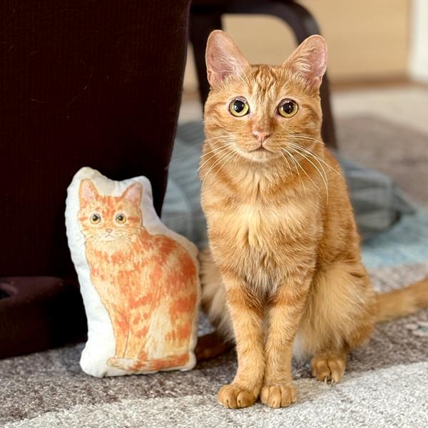 宿と猫 ねこ ミニ クッション 猫型 イラスト プレゼント 猫 