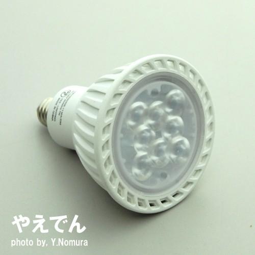 TES LIGHTING Lunetta 5個セット