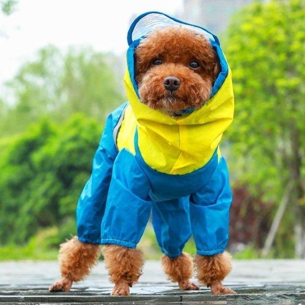 正規品送料無料 犬の服 ペット用 レインコート レインカバー 犬用レインコート 小型犬 中型犬 大型犬 雨着 ドッグウェア 雨具 お出かけ お散歩 ペット用品 フード付き Wantannas Go Id
