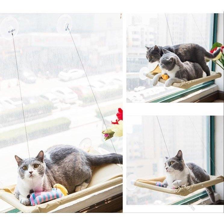 海外限定 猫窓 ハンモック モック ペットグッズ 猫用品 吸盤タイプ 猫はんもっく窓用 猫 ベッド 日向ぼっこ 四季使える テラス 吸盤 窓 台日光に浴びてウィンドウベッド Shipsctc Org