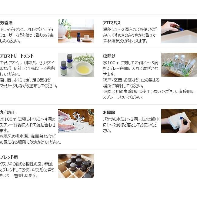 KUSU HANDMADE カンフルオイル 10ml くすのきオイル くすのき油 樟脳油 衣類用防虫剤 和精油 国産精油｜yafuu-store｜05