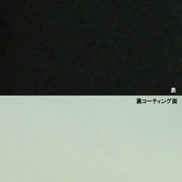 暗幕 生地カット売り 10cm単位 アンマクヤオリジナル 完全遮光防炎暗幕