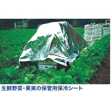 日よけ 断熱シート テクミラー2000 遮光率99.9%以上 四方ハトメタイプ