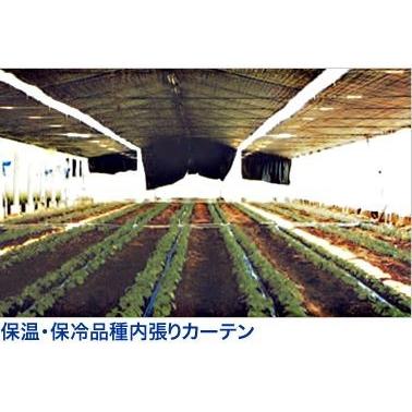 日よけ 断熱シート テクミラー2000 遮光率99.9%以上 四方ハトメタイプ