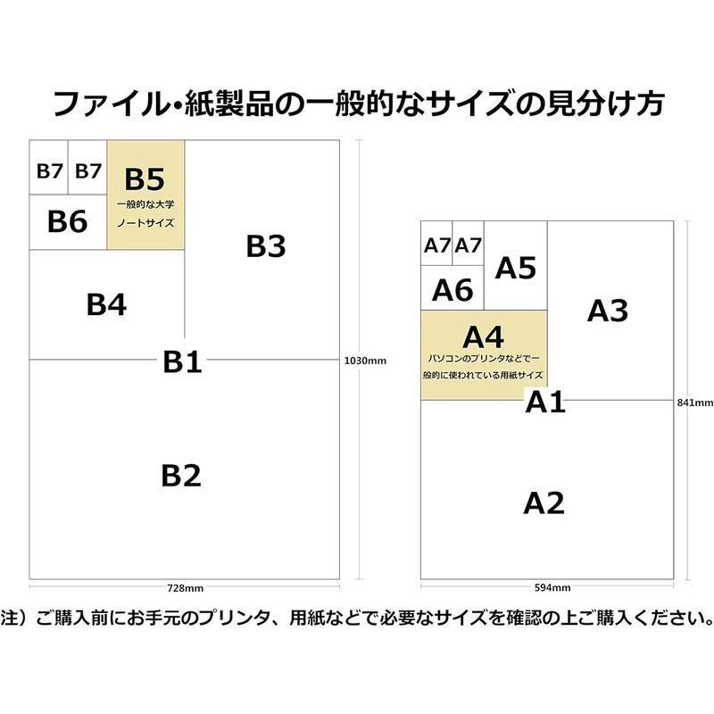 ライオン事務器 カードケース 硬質 B3判｜yafuurou-store｜02