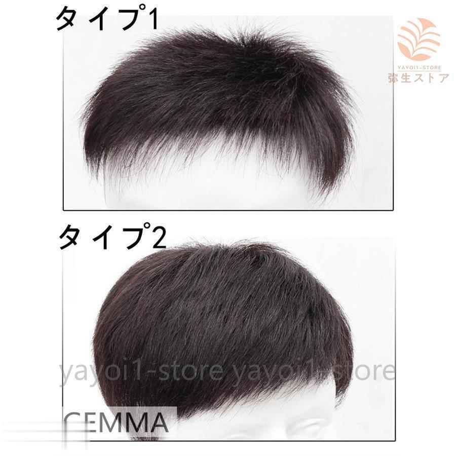 ウィッグ 男性用 かつら 人毛ウィッグ 中年 自然黒 ブラック 日常用 かつら 人毛かつら メンズヘア ショート お父さん プレゼントの画像