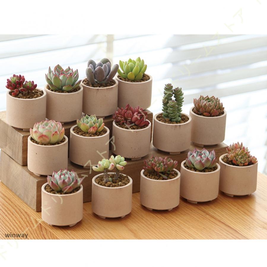 植木鉢 18個入り 多肉植物ポット プランター 陶器鉢 盆栽 親指植木鉢