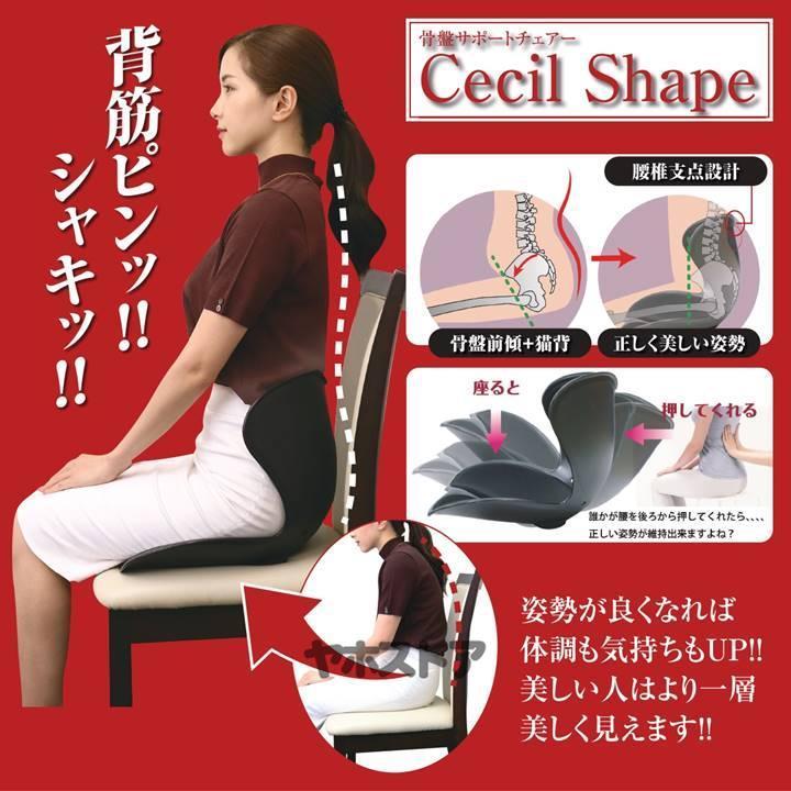 骨盤サポートチェア セシルシェイプ 座椅子 腰痛 骨盤 サポート シート