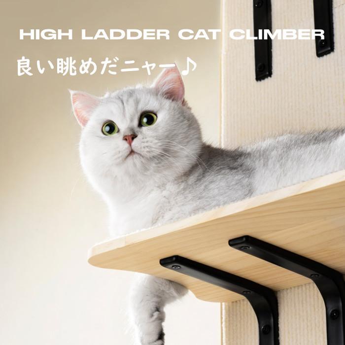 お値下げ キャットステップ ドア掛け キャットタワー キャットウォーク 猫ステップ 猫グッズ 4段式 耐荷重10キロ 猫家具 多頭飼い対応 省スペース 木製 爪とぎ機能搭載 【2013786310】(12903円)