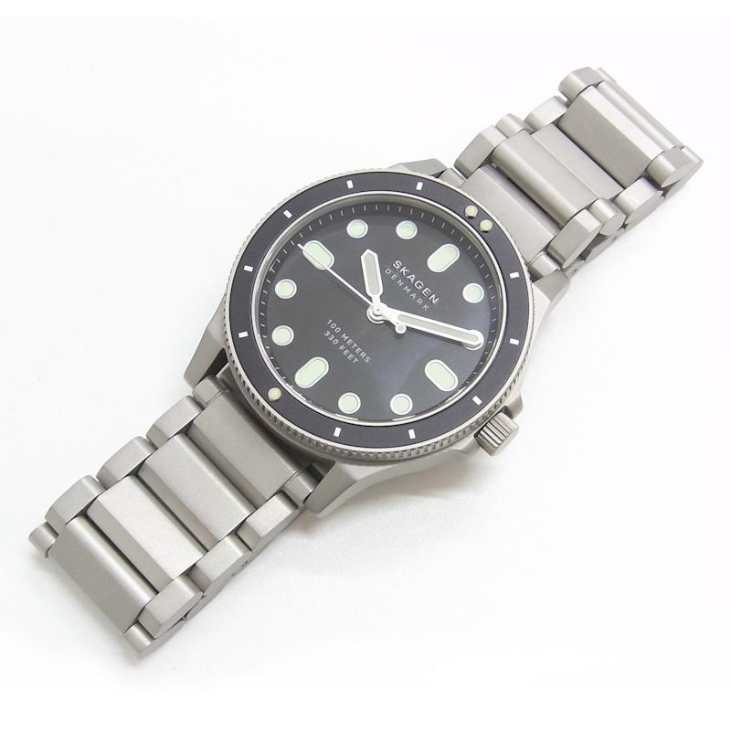 SKAGEN/スカーゲン ダイバーズウォッチ FISK SKW6666 SKAGEN スカーゲン FISK フィスク SKW6666 メンズ クオーツ