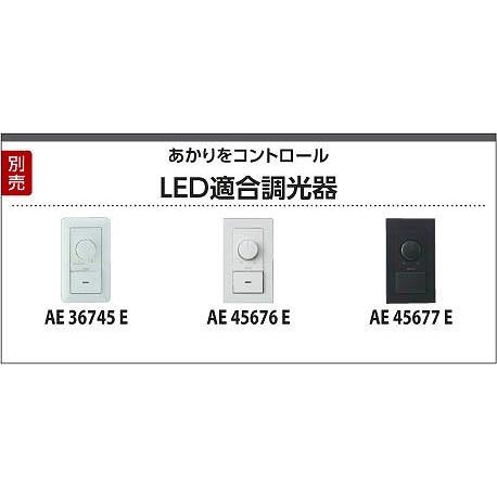 AU43672L コイズミ 屋外用スポットライト LED（電球色）