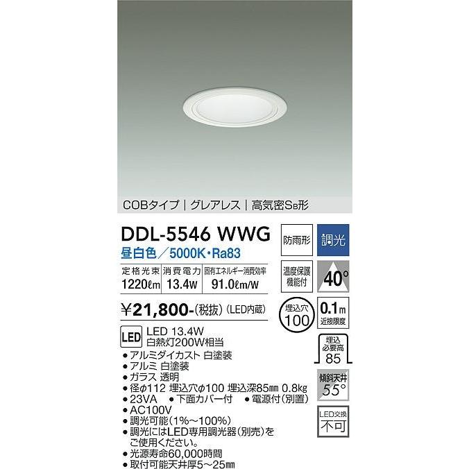 ダイコー ダウンライト(軒下用兼用) 白 LED（昼白色） DDL-5546WWG_1
