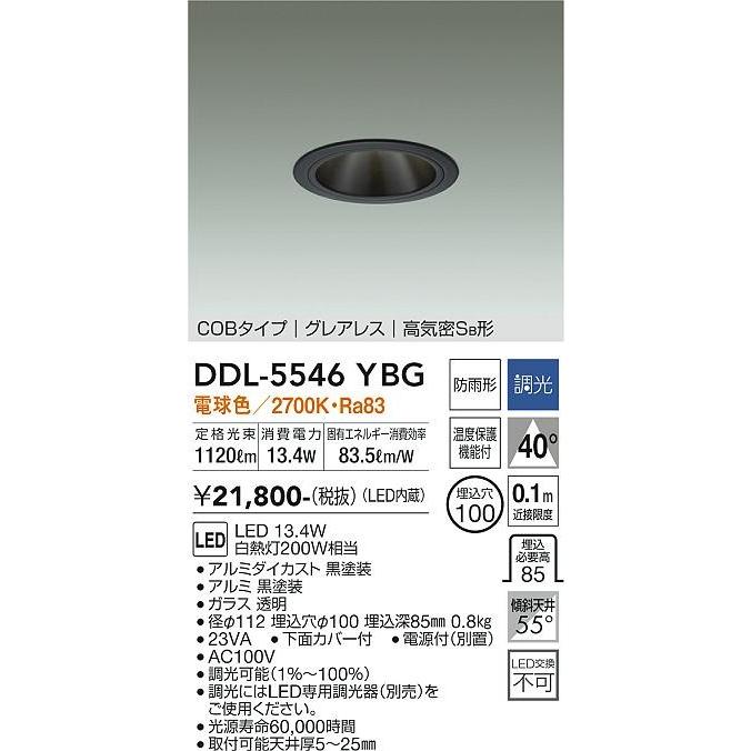 ダイコー ダウンライト(軒下用兼用) 黒 LED（電球色） DDL-5546YBG_1