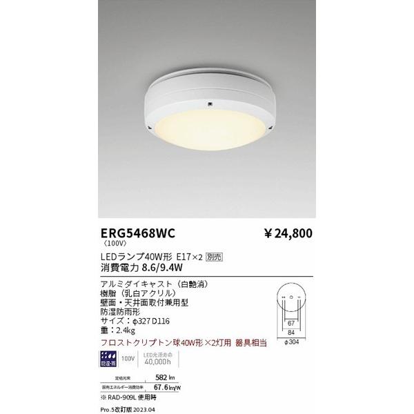 遠藤照明 軒下用シーリングライト 白 2灯用 ランプ別売 ERG5468WC