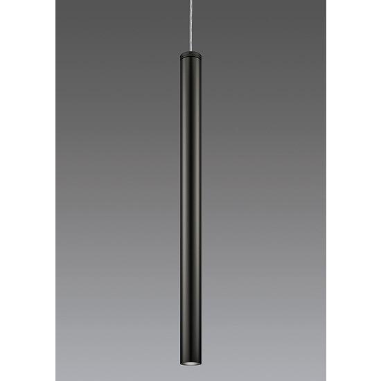 遠藤照明 ペンダントライト 黒 ランプ別売 ERP7516B