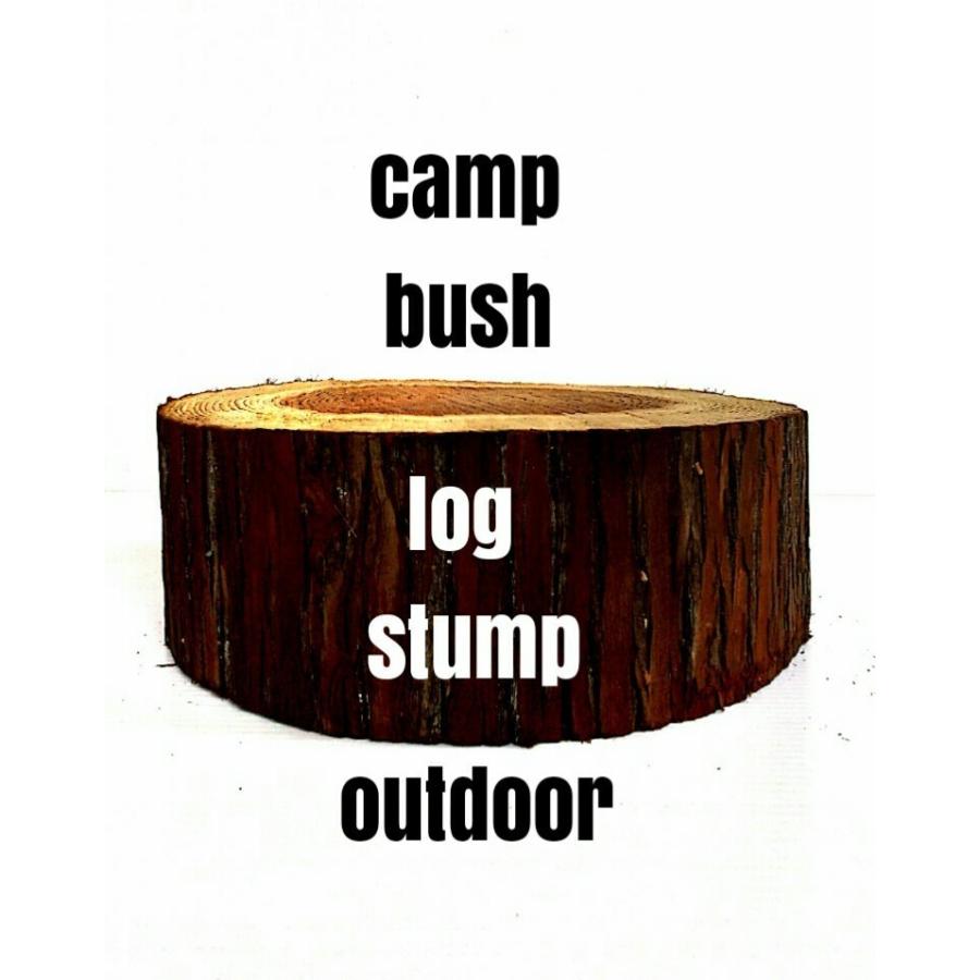 丸太 薪割り台 ナイフワーク 薪割り チェア 踏み台 直径３０ｃｍ 高さ１0ｃｍ 多用途に使える丸太 デルフリキャンプから直送 Dell3010 産直琵琶湖 通販 Yahoo ショッピング