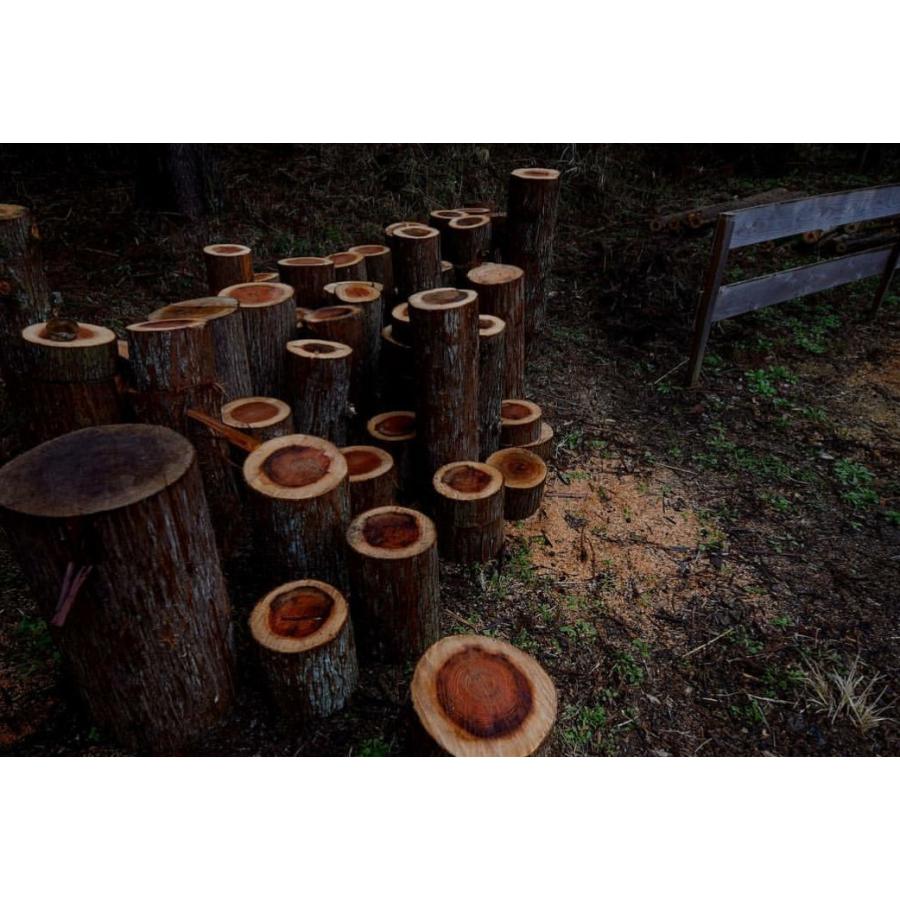 丸太 薪割り台 ナイフワーク 薪割り チェア 踏み台 直径３０ｃｍ 高さ１0ｃｍ 多用途に使える丸太 デルフリキャンプから直送 Dell3010 産直琵琶湖 通販 Yahoo ショッピング