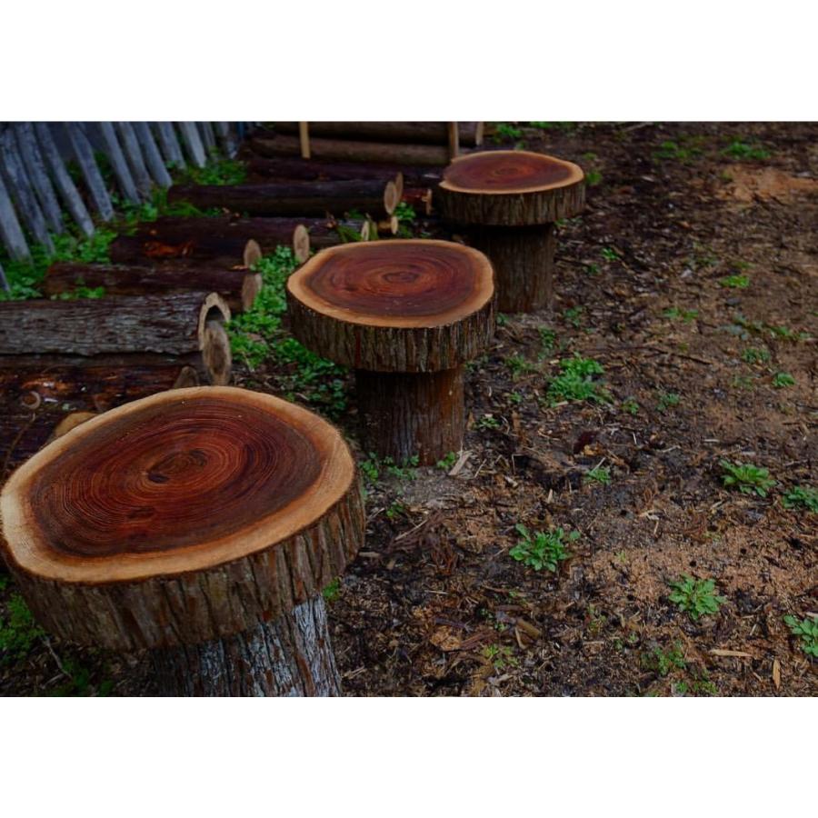 丸太 薪割り台 ナイフワーク 薪割り チェア 踏み台 直径３０ｃｍ 高さ１0ｃｍ 多用途に使える丸太 デルフリキャンプから直送 Dell3010 産直琵琶湖 通販 Yahoo ショッピング