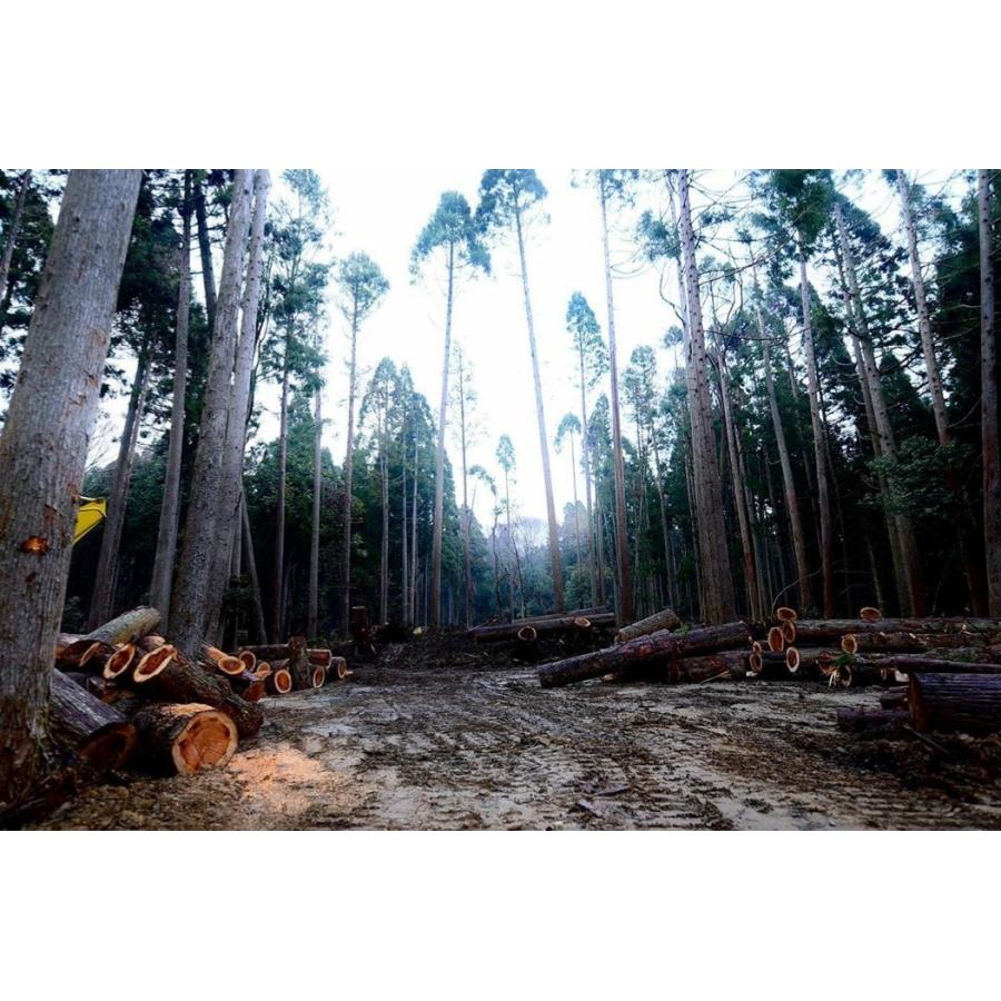 丸太 薪割り台 ナイフワーク 薪割り チェア 踏み台 直径３０ｃｍ 高さ１0ｃｍ 多用途に使える丸太 デルフリキャンプから直送 Dell3010 産直琵琶湖 通販 Yahoo ショッピング