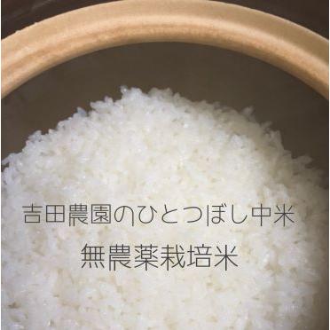 れんげ米 20.0kg 米 | endageism.com