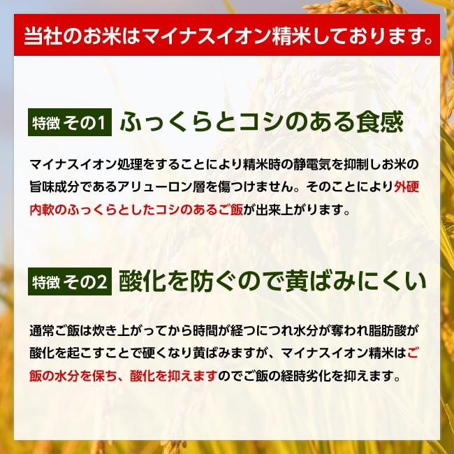 【送料無料】令和5年産 山形県産 ひとめぼれ 白米10kg【沖縄別途1000円加算】｜yahagishouten｜05