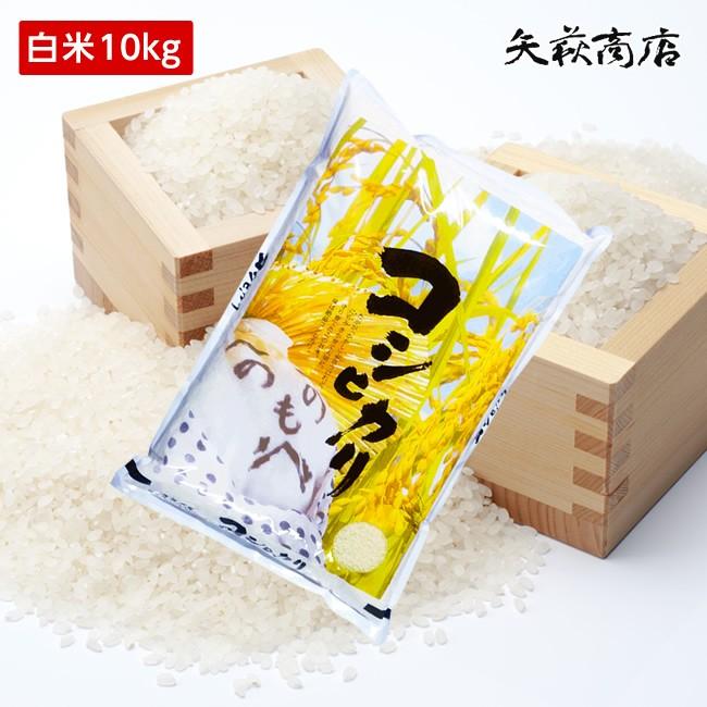 コシヒカリ 【送料無料】令和6年産 山形県産 白米10kg [四国 コシヒカリ 【送料無料】令和6年産 山形県産 白米10kg [四国