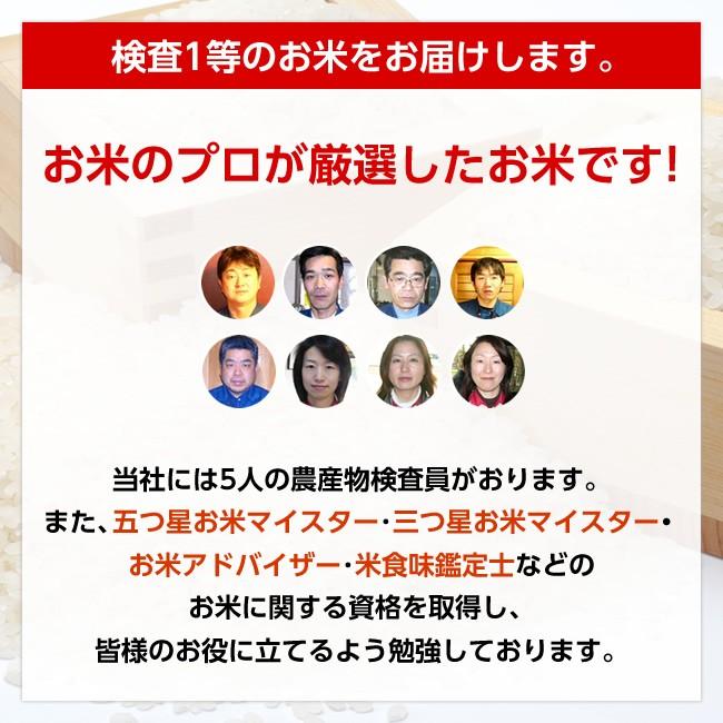 コシヒカリ 【送料無料】令和7年産 山形県産 白米10kg [四国・九州への