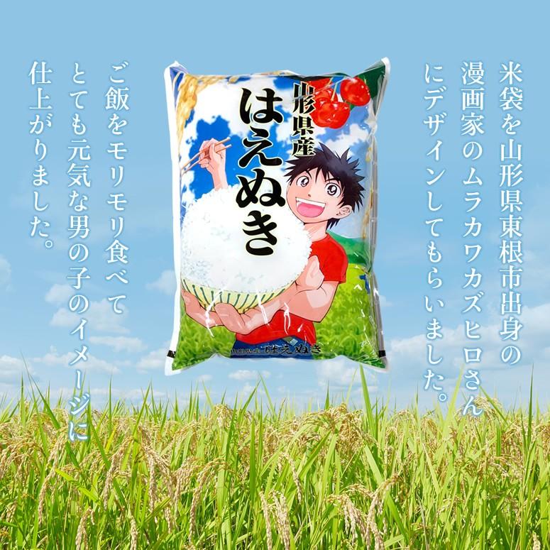 【送料無料】令和5年産 山形県産 はえぬき 白米10kg【沖縄別途1000円加算】｜yahagishouten｜03