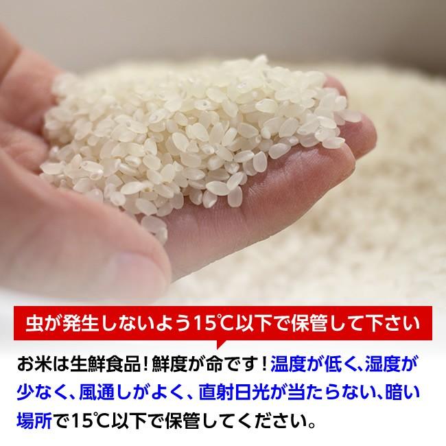 【送料無料】令和5年産 山形県産 はえぬき 白米10kg【沖縄別途1000円加算】｜yahagishouten｜07