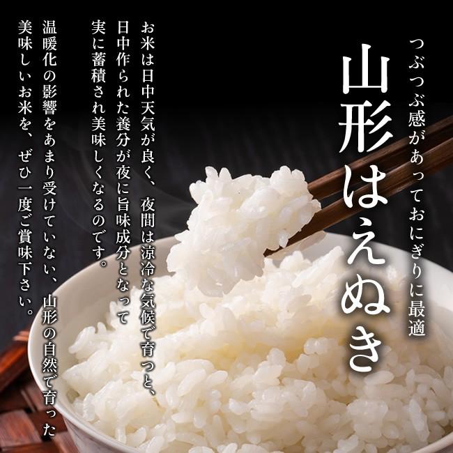 はえぬき 【送料無料】令和7年産 山形県産 白米5kg [四国・九州への