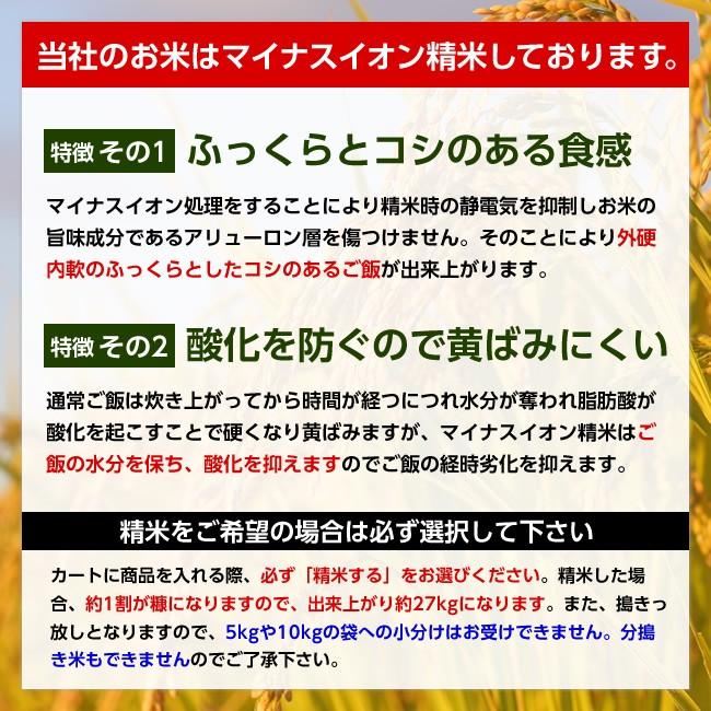 【送料無料】令和5年産 山形県産 はえぬき 玄米30kg【沖縄・離島別途2000円加算】｜yahagishouten｜05