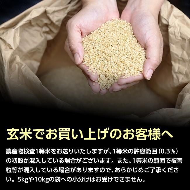 【送料無料】令和5年産 山形県産 はえぬき 玄米30kg【沖縄・離島別途2000円加算】｜yahagishouten｜06