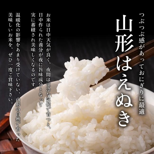 はえぬき 【送料無料】令和6年産 山形県産 玄米20kg [四国・九州 はえぬき 【送料無料】令和6年産 山形県産 玄米20kg [四国・九州