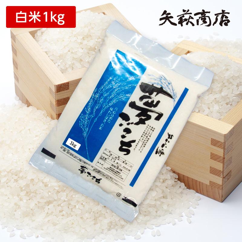 夢ごこち 【送料無料お試し米】令和7年産山形県産夢ごこち白米1kg 日時 