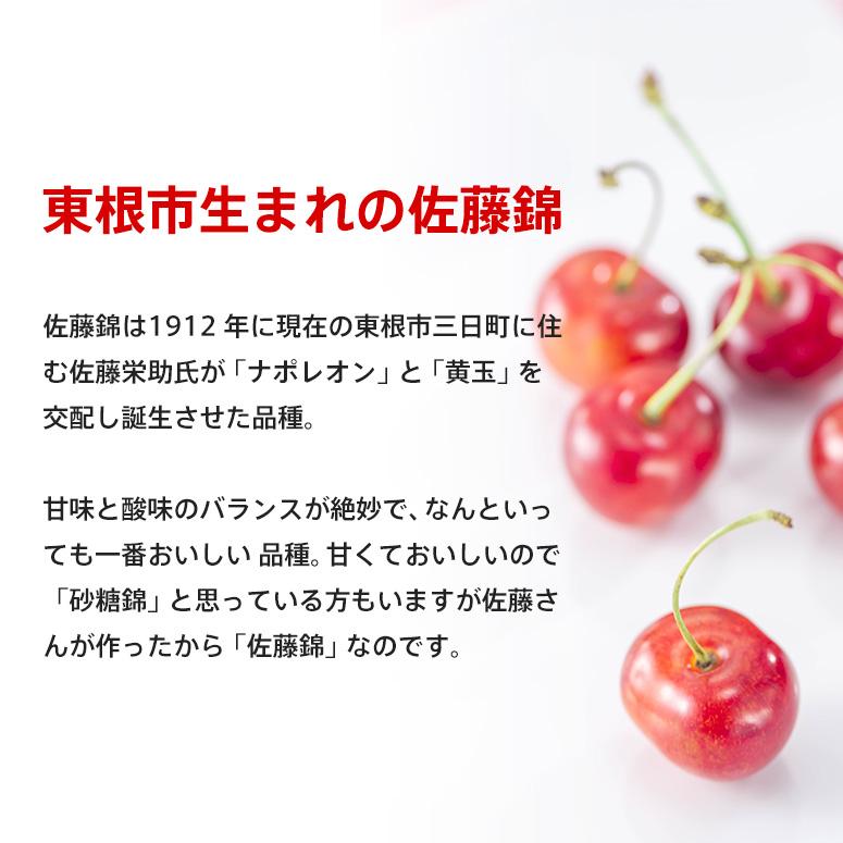 贈答用・送料無料】さくらんぼ佐藤錦 Lサイズ バラ詰め 1Kg : 山形の