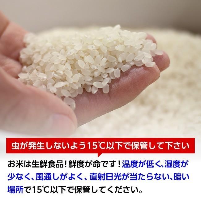 つや姫 【送料無料】令和6年産 山形県産 白米5kg [四国・九州への配送