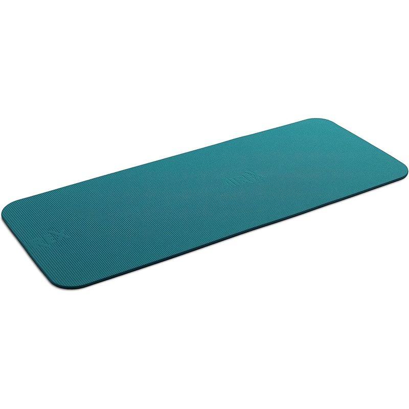 AIREX(エアレックス) トレーニングマット フィットライン180 厚さ10mm ウォーターブルー FITLINE 180 FITLINE FITLINE ウォーターブルー エアレックス トレーニングマット フィットライン180 厚さ10mm