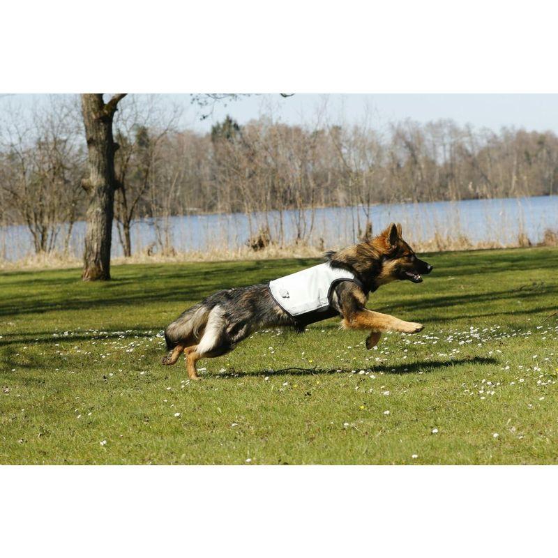 cani.cool(カニクール) クールジャケット グレイ S サイズ サイズ cool カニクール クールジャケット グレイ